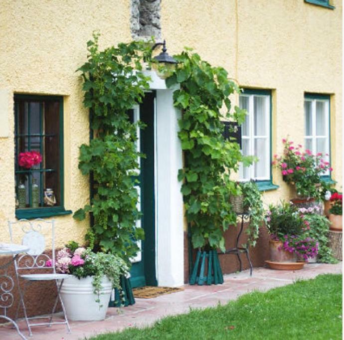 Ferienwohnung Alpenblick Kuchl Luaran gambar